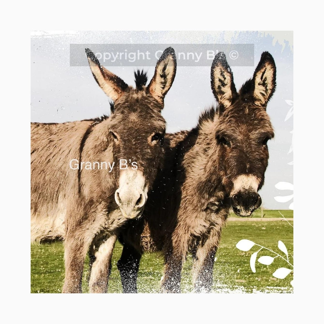 The Donkeys' by Granny Chic Decoupage Tissue