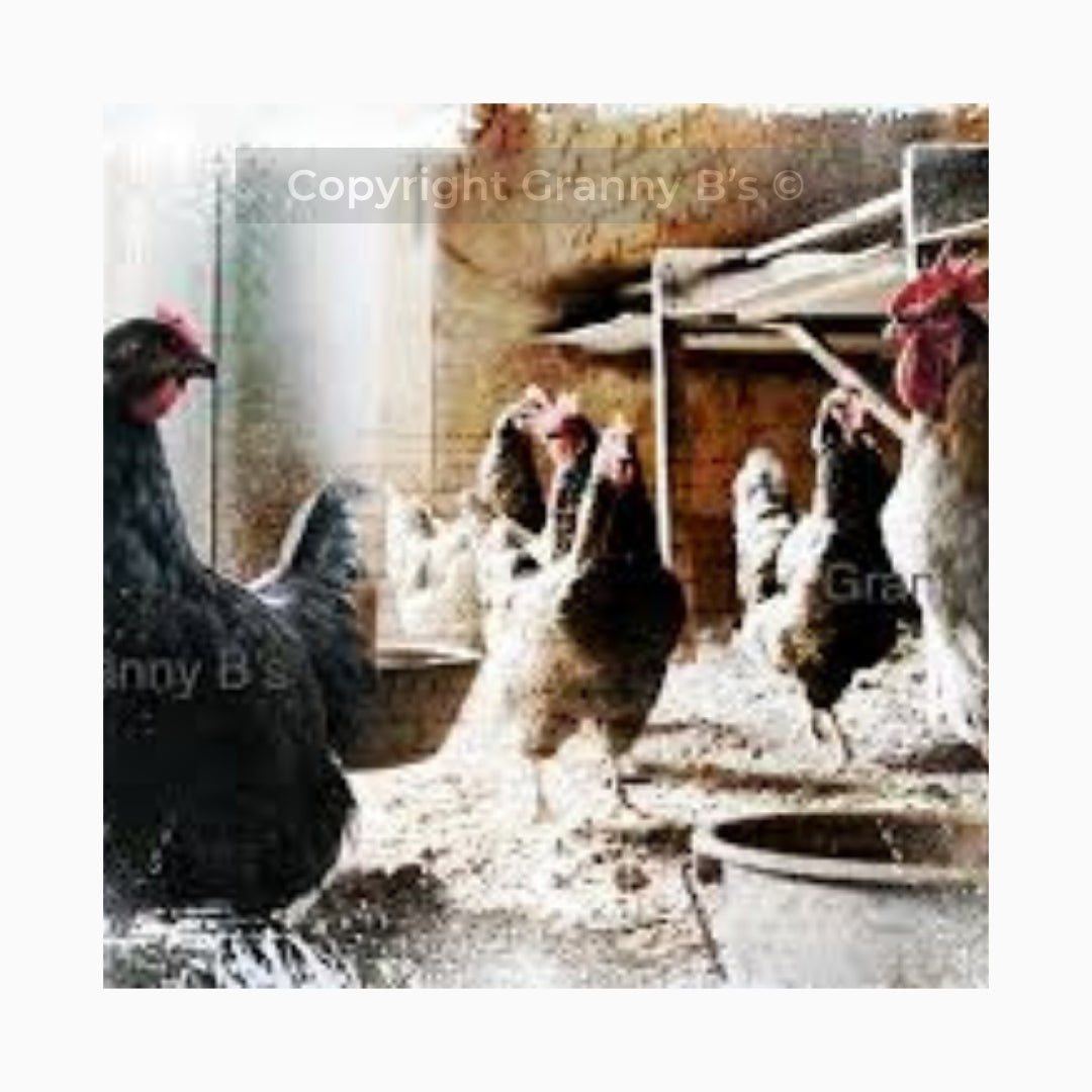 The Hen House by Granny Chic Decoupage Tissue