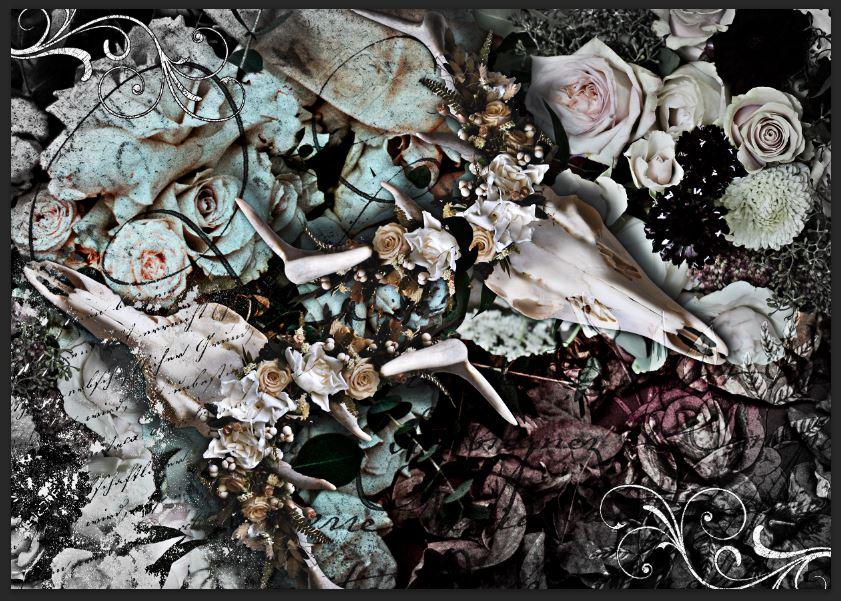 'Wild at Heart' by Granny Chic Decoupage Tissue - Granny B's Old Fashioned Paint compatible with all leading chalkpaint brands such as Tjhoko, Annie Sloan and Granny B