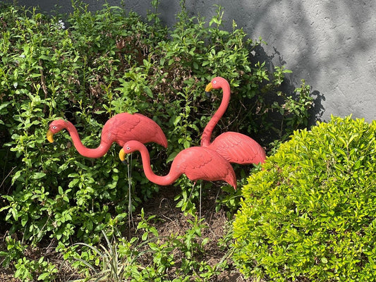 Transform Your Garden into a Flocking Fabulous Oasis with Revamped Flamingos!
