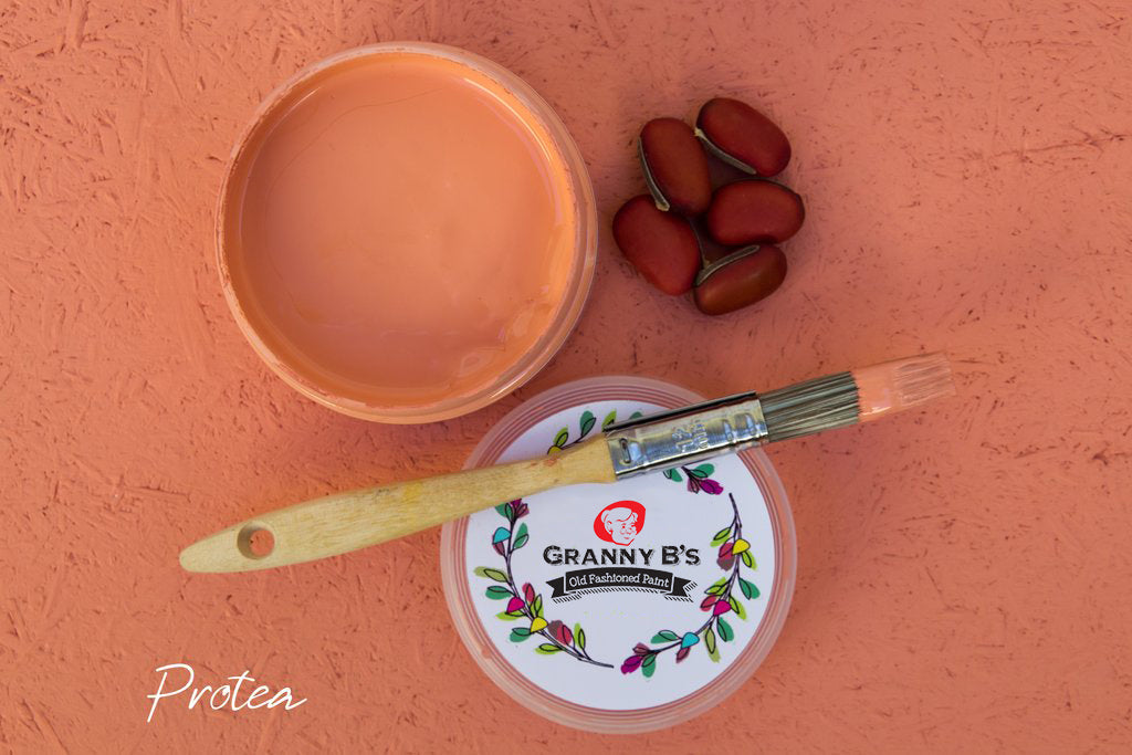 Artist's Choice Chalkpaint - Protea - Granny B's Old Fashioned Paint