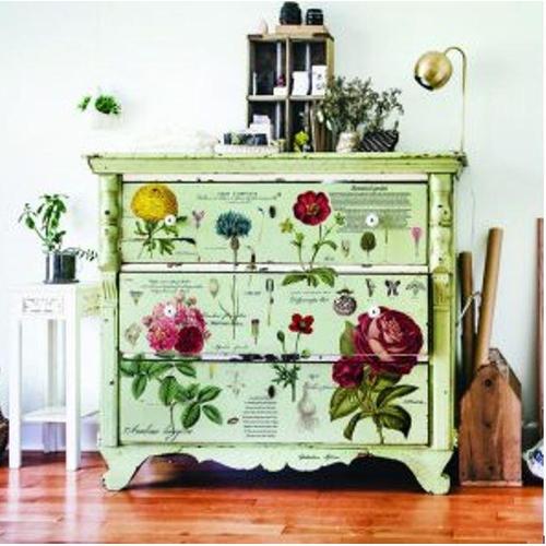 Vintage Botanical - Transfer (Prima Re-design) - Granny B's Old Fashioned Paint