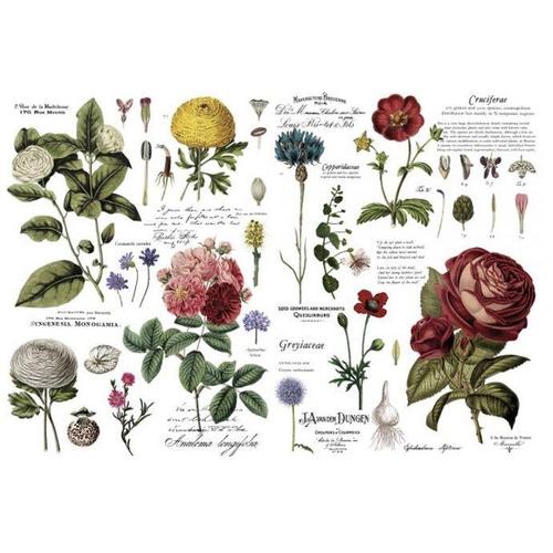 Vintage Botanical - Transfer (Prima Re-design) - Granny B's Old Fashioned Paint